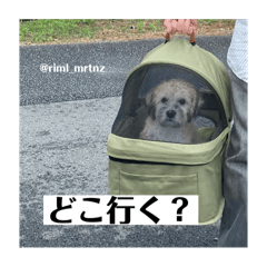 swcarne_20240828131653