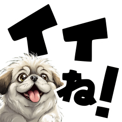 Large letters in white Pekingese