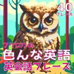 for English conversation, owl Sticker