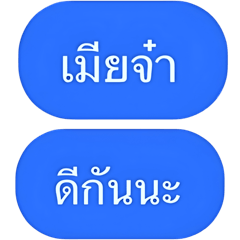 เมียจ๋า ดีกันนะ [แชทน้ำเงิน]