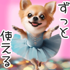 ballerina Chihuahua