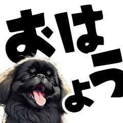 Large letters in black Pekingese