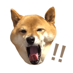 Nakamura._20240829112227