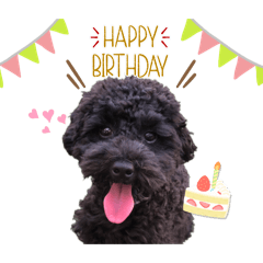 AMAIRO_20240828164144