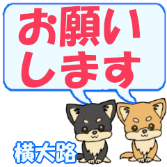 Yokoooji's letters Chihuahua2