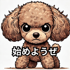 Bossy Toy Poodle