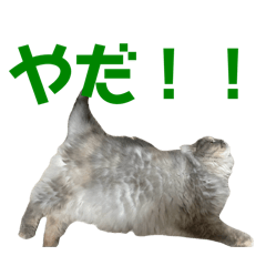 ikurapart1