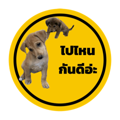 Yellow sign lovly pet