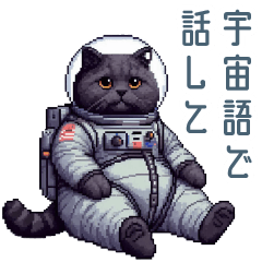 Space cat excuse