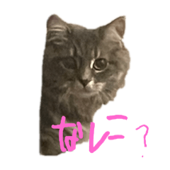 BB_20240828214131