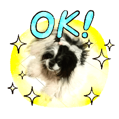 nongwawa_20240829131423