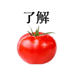 tomatomato daisuki