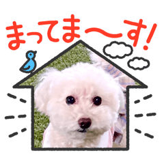 siro_20240828193745