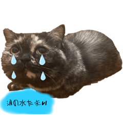 Soichan_20240829133038