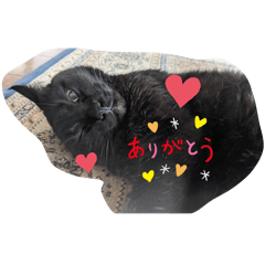haruta_20240829132228