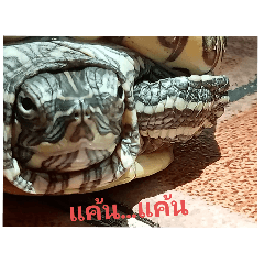 thank_20240829191549