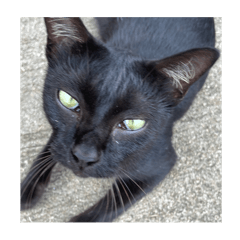 Nong yada_20240829191948