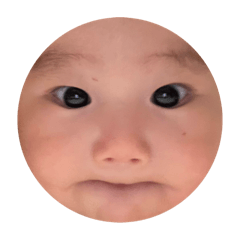 koyatan_20240829142343