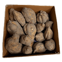 Food Series : Some Sweet Potato #15