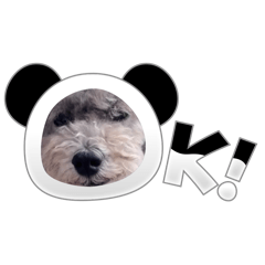 mouchan_20240829154623