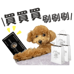 超好命爛狗爛貓