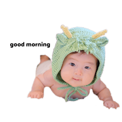 moo_20240829174814