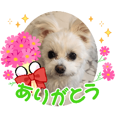 Lily0917_20240829215838