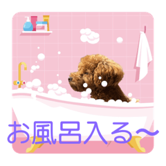 kika_20240829213322