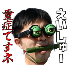 036factory_20240829144811