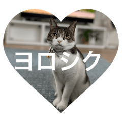 Decomi_20240830161318