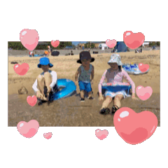 SHELLY_20240830172254