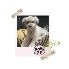 michiko_20240830181903