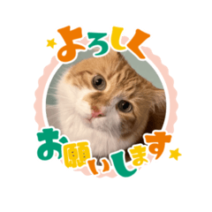 kaoru.zazaza_20240831025643