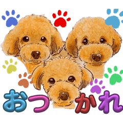 KORONN_20240830182619