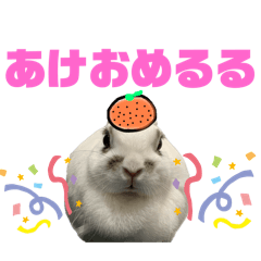 kuma56_20240830232140