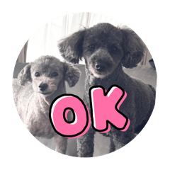 mouchan_20240831010830