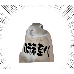 萌寵來了