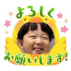 ruitantan_20240830224002