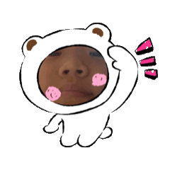 小叡叡表情