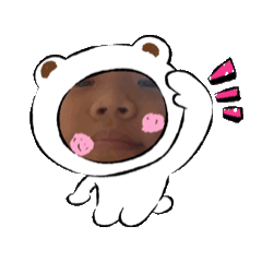 小叡叡日常照