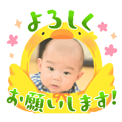 TATSU_20240831174631