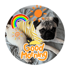 wansan_20240831165825