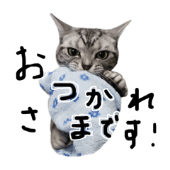 Kelico_20240831184926