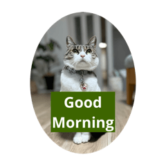 Decomi_20240831143345