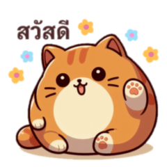 The cat is chubby and cute