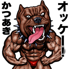 Katsuaki dedicated Muscle macho animal