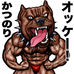 Katsunori dedicated Muscle macho animal