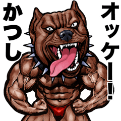 Katsushi dedicated Muscle macho animal