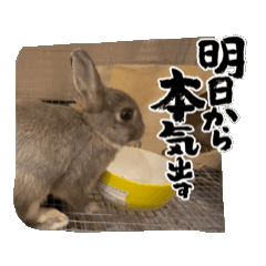 creater NANA japan_20240830181856