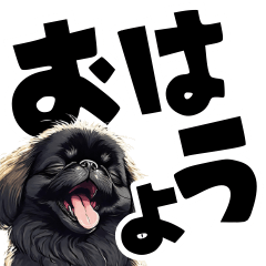 Cute black Pekingese big letters